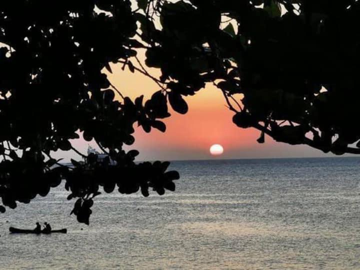 Suite Pe Na Areia- Espaco Independente Na Praia Do Curral Com Localizacao Privilegiada - Simplicidade E Comodidade Com O Por Do Sol Mais Lindo De Ilhabela - Melhor Custo Beneficio Para Ate 4 Pessoas , Na Av Jose Pacheco Do Nascimento Nº 7682 Eksteriør bilde